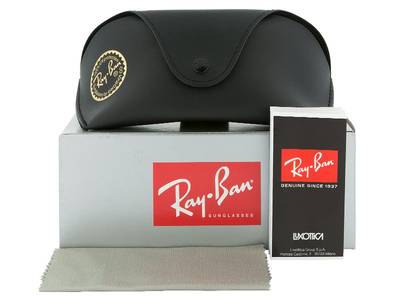 Sonnenbrillen Ray-Ban Jackie Ohh II RB4098 710/71 - Inhalt der Packung (Illustrationsbild)