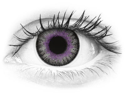 ColourVUE Fusion Violet Gray - ohne Stärke (2 Linsen)
