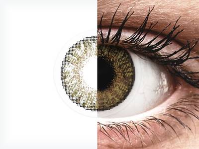 FreshLook ColorBlends Pure Hazel - ohne Stärke (2 Linsen)