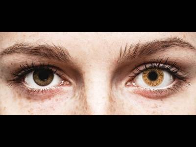 FreshLook Colors Hazel - ohne Stärke (2 Linsen)