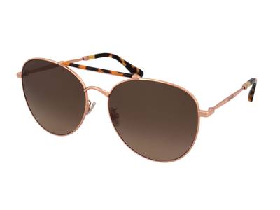 Sonnenbrillen Jimmy Choo Abbie/G/S 06J/HA