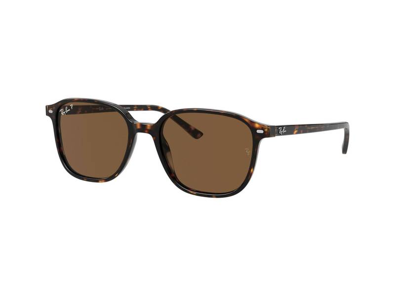 Sonnenbrillen Ray-Ban Leonard RB2193 902/57 