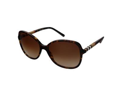 Sonnenbrillen Burberry BE4197 300213