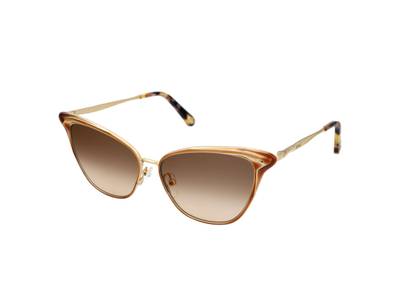 Sonnenbrillen Chloe CE173S 743