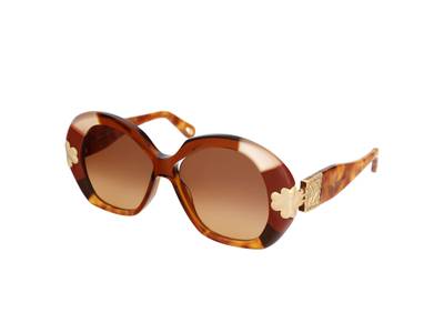 Sonnenbrillen Chloe CE743S 245