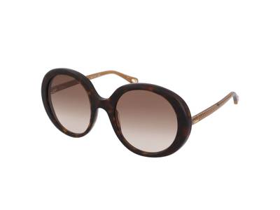 Sonnenbrillen Chloe CH0007S 004