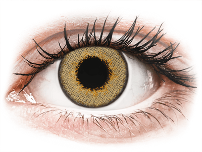 TopVue Daily Color - Brown - Tageslinsen ohne Stärke (2 Linsen)