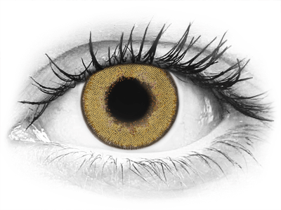 TopVue Daily Color - Pure Hazel - Tageslinsen ohne Stärke (2 Linsen)
