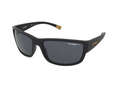 Sonnenbrillen Arnette Bushwick AN4256 01/81