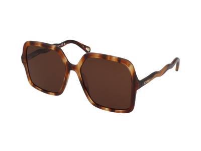 Sonnenbrillen Chloe CH0086S 005
