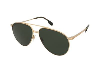 Sonnenbrillen Burberry BE3108 101771