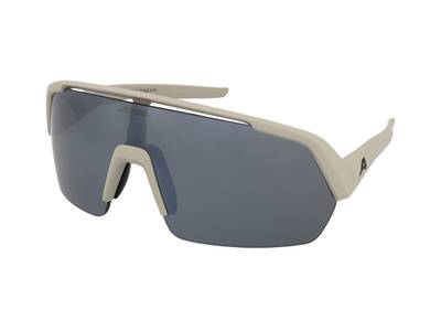 Sonnenbrillen Alpina Turbo HR Cool Grey Matt