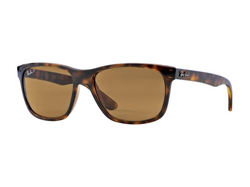 Sonnenbrillen Ray-Ban RB4181 710/83 